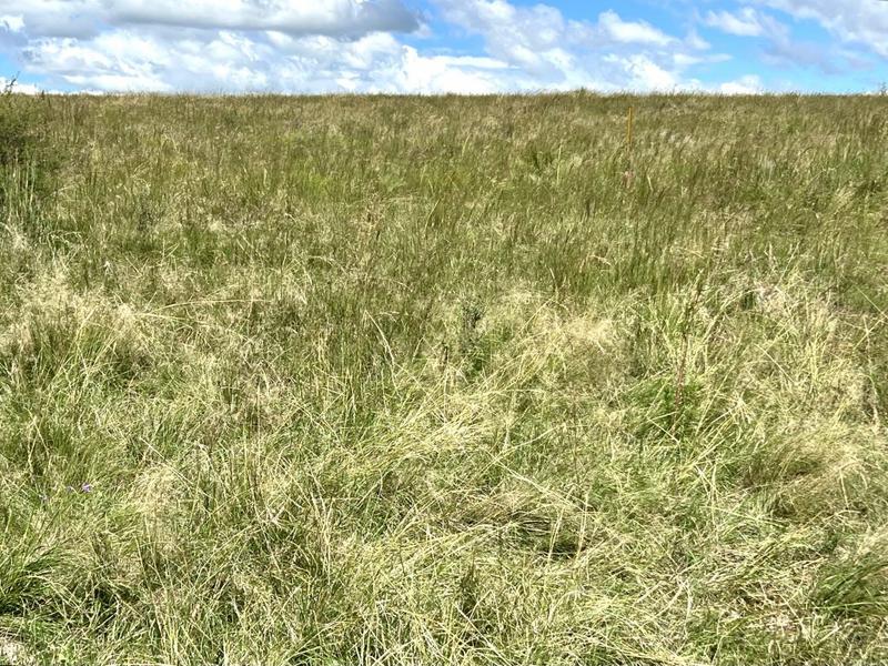 0 Bedroom Property for Sale in Lindley Free State